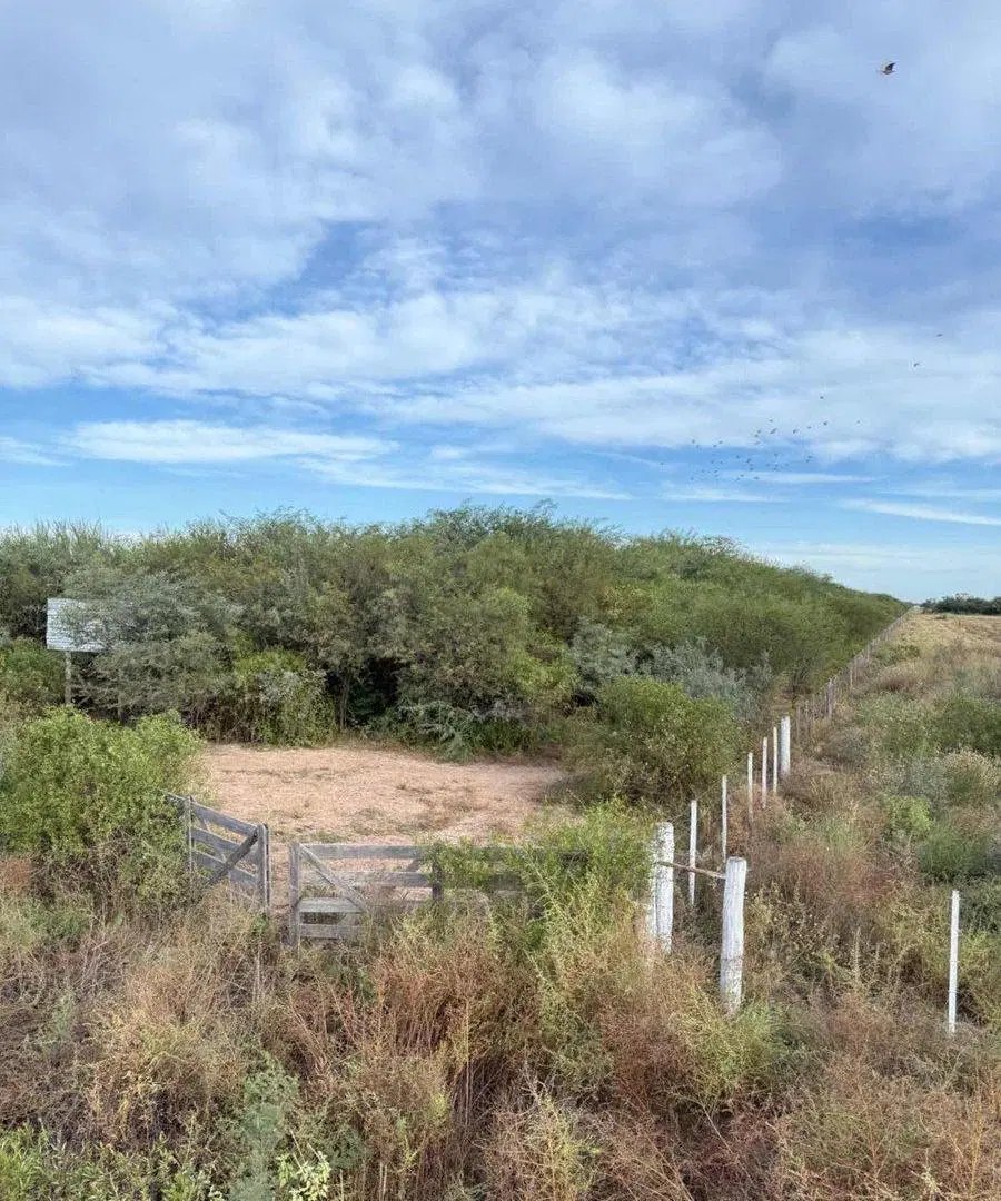 VENTA DE CAMPO EN FERNANDEZ - SANTIAGO DEL ESTERO 5