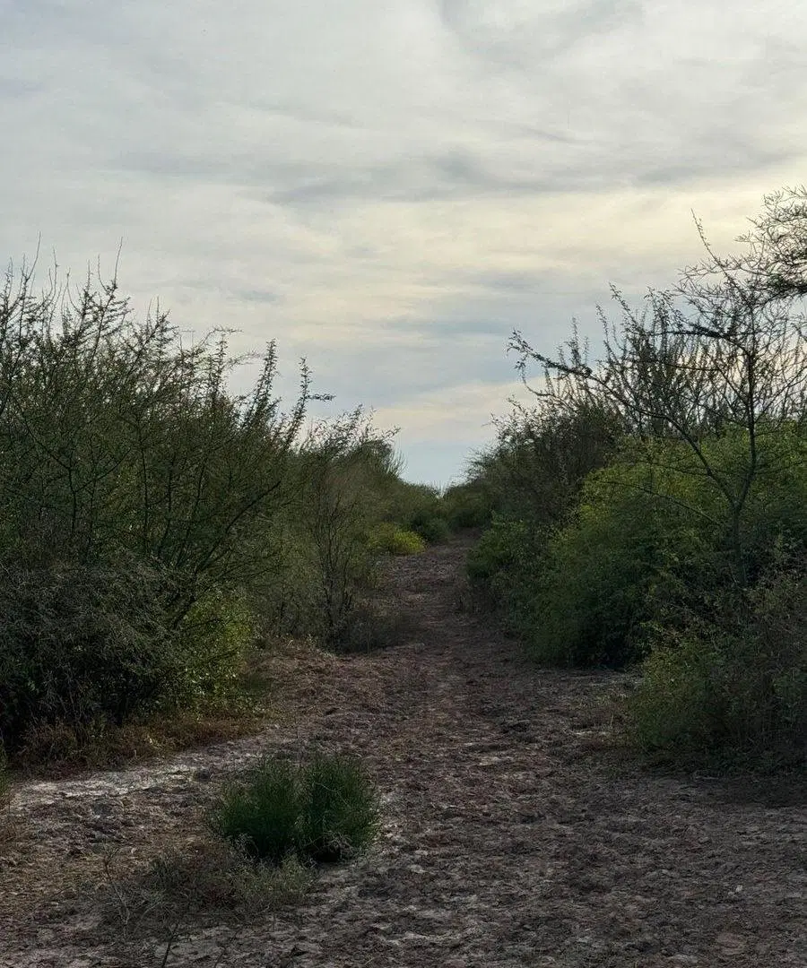 VENTA DE CAMPO EN FERNANDEZ - SANTIAGO DEL ESTERO 2