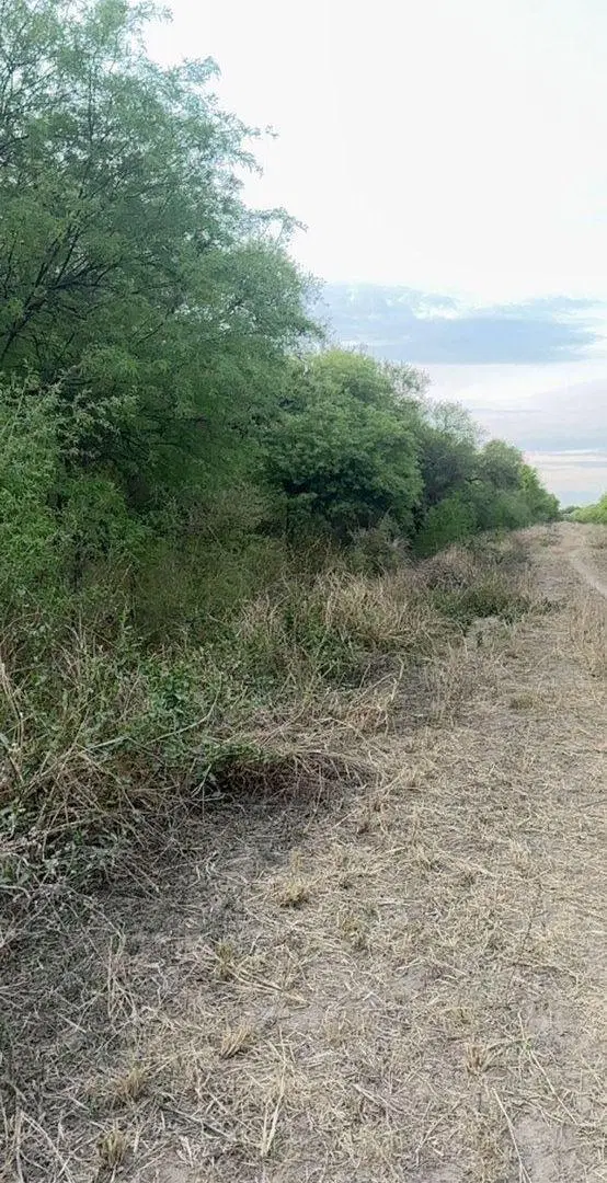 Venta de Lotes en Santa Teresa – Paraje Cardozo 5
