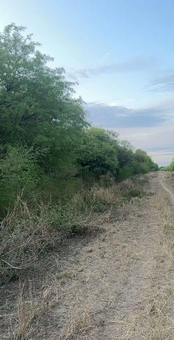 Venta de Lotes en Santa Teresa – Paraje Cardozo 3