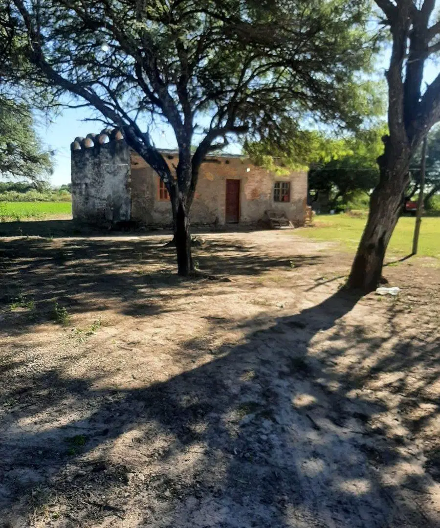 CAMPO EN VENTA SURI POZO - SANTIAGO DEL ESTERO 3