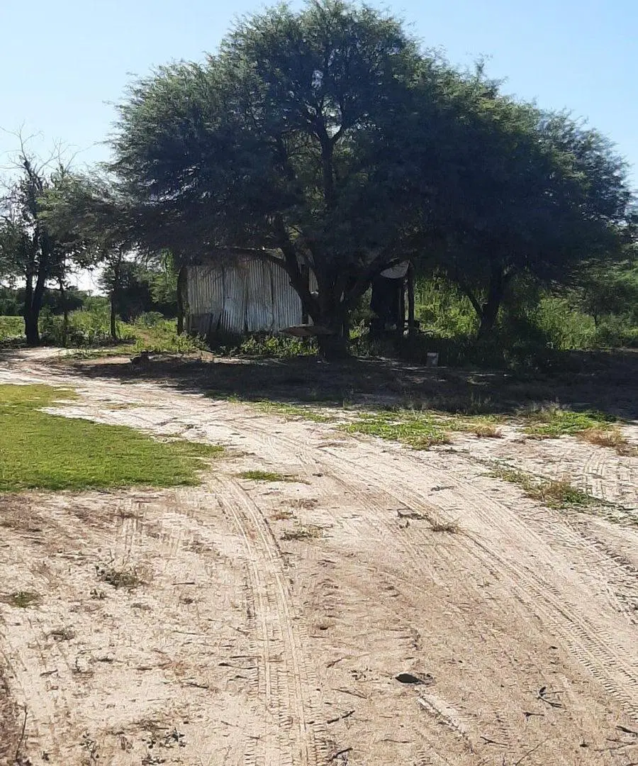 CAMPO EN VENTA SURI POZO - SANTIAGO DEL ESTERO 4