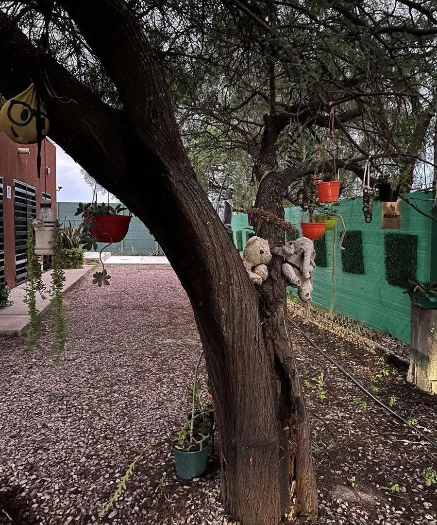 VENTA DE FINCA EN EL ZANJON , ZONA FACULTAD AGONOM 2