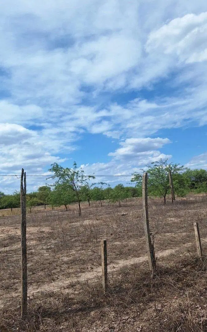 Venta de Lotes Los Cardozo por Camino de la costa 2