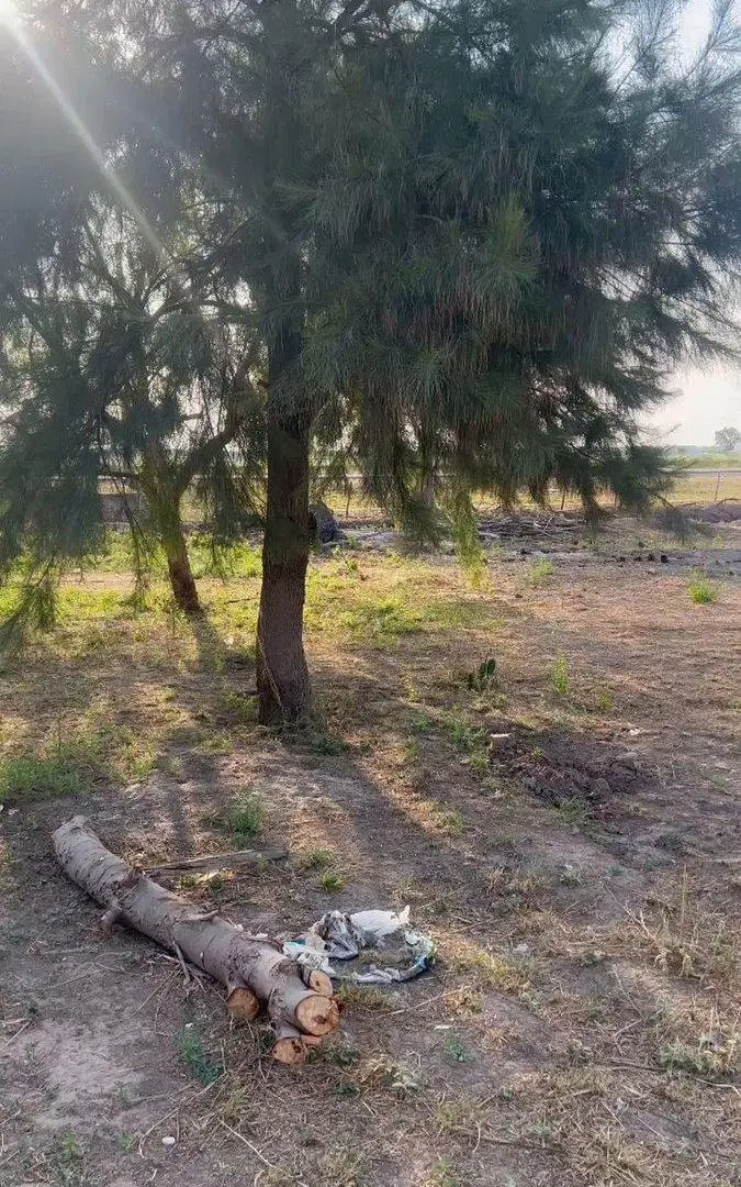 VENTA DE LOTE SOBRE RUTA 9 CON PILETA 4