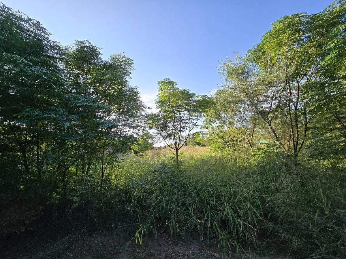 VENTA LOTE BARRIO SAN CARLOS LA BANDA 3