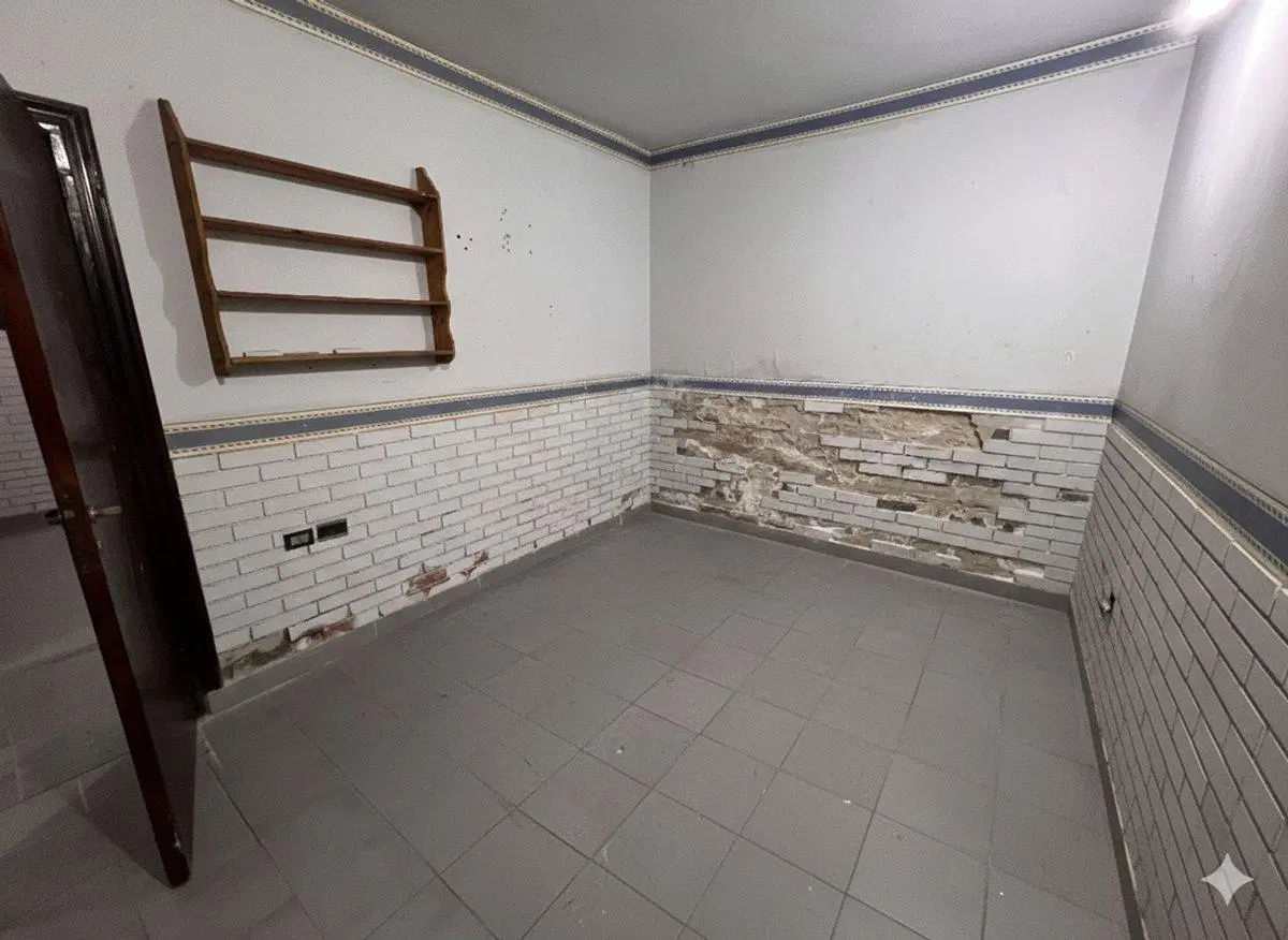 VENTA DOS CASAS CON LOCAL EN ZONA CASA DE GOBIERNO 5