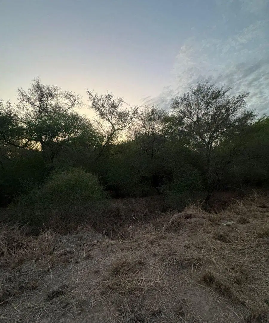 Venta de Lotes en Santa Teresa – Paraje Cardozo 2