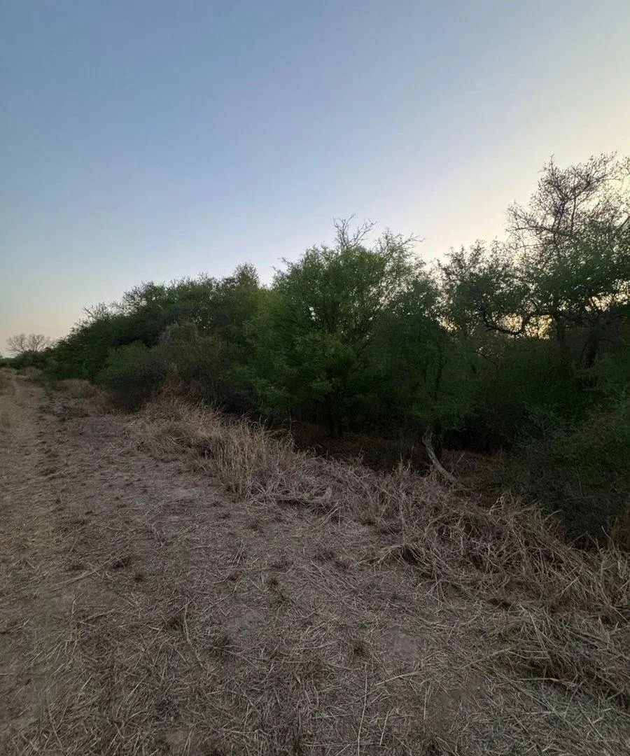 Venta de Lotes en Santa Teresa – Paraje Cardozo 4