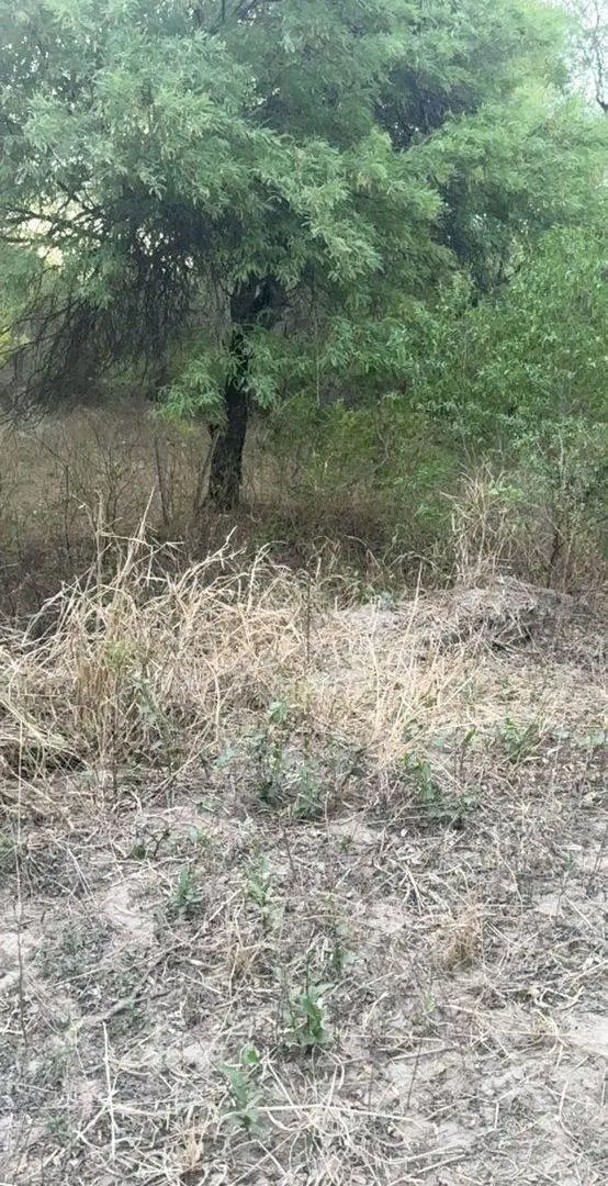 Venta de Lotes en Santa Teresa – Paraje Cardozo 3