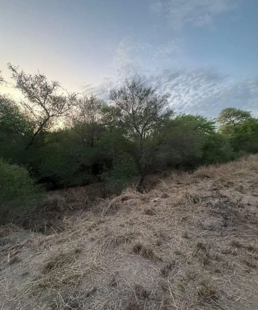 Venta de Lotes en Santa Teresa – Paraje Cardozo 5