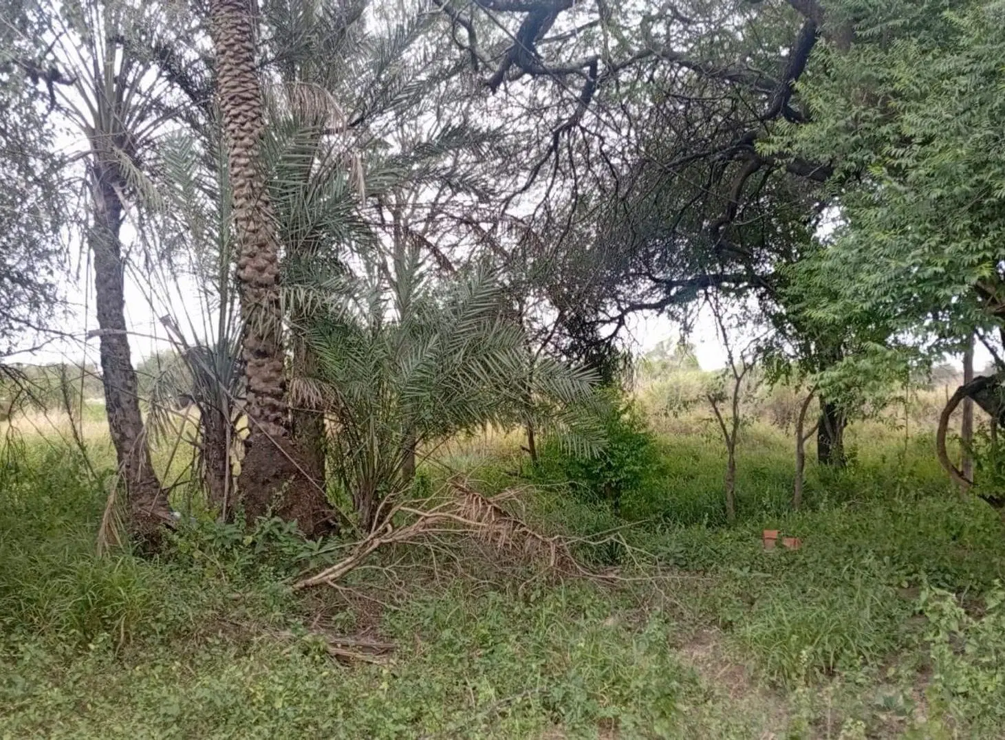 Venta de Terreno sobre Camino del Medio 2