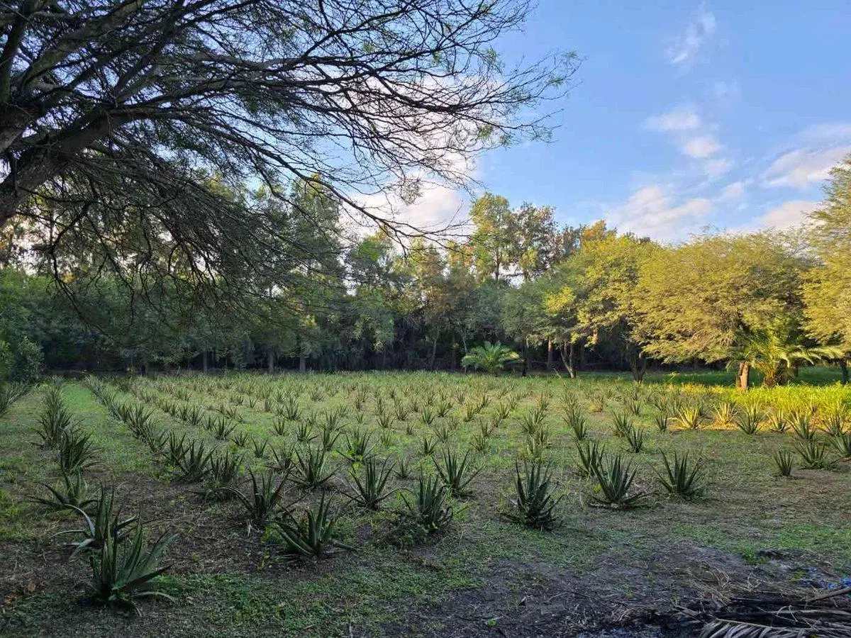 Venta de casa en Camino de la Costa,  Los Cardozo 5