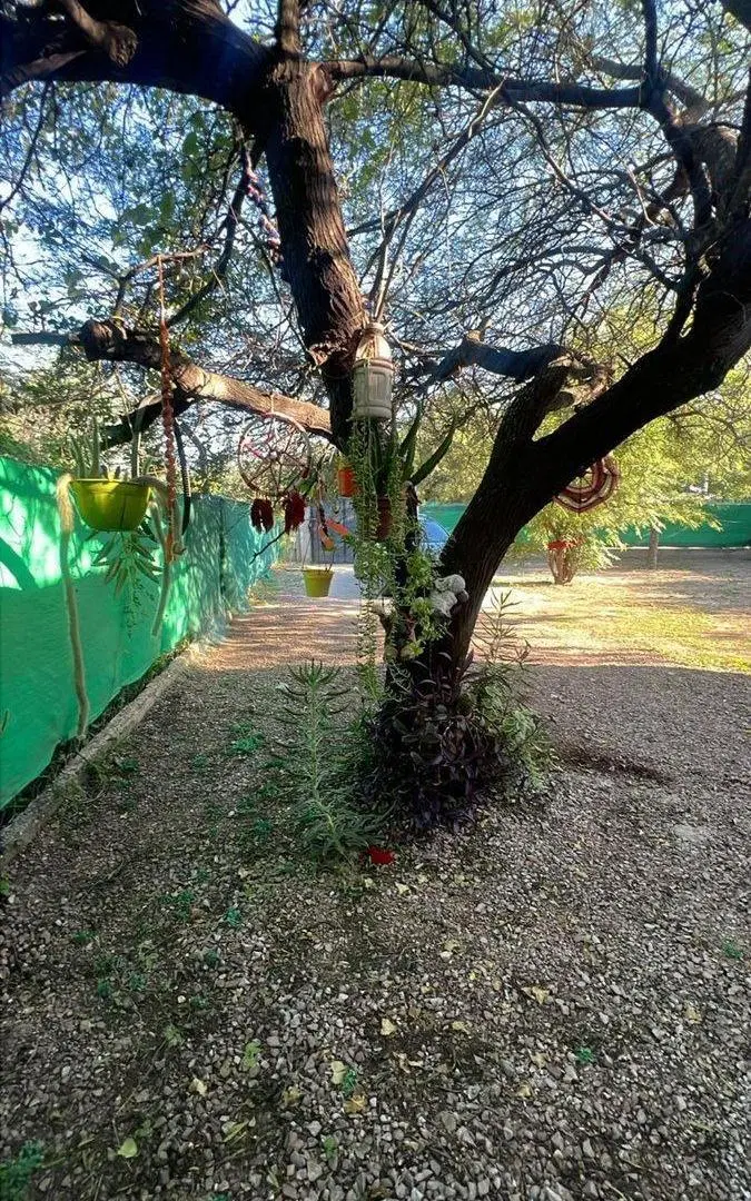 VENTA DE FINCA EN EL ZANJON , ZONA FACULTAD AGONOM 4