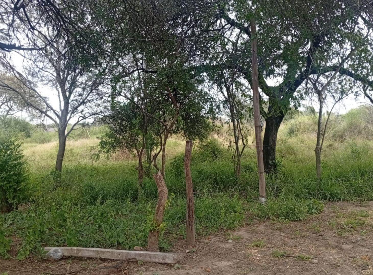 Foto de Venta de Terreno sobre Camino del Medio, imagen 3