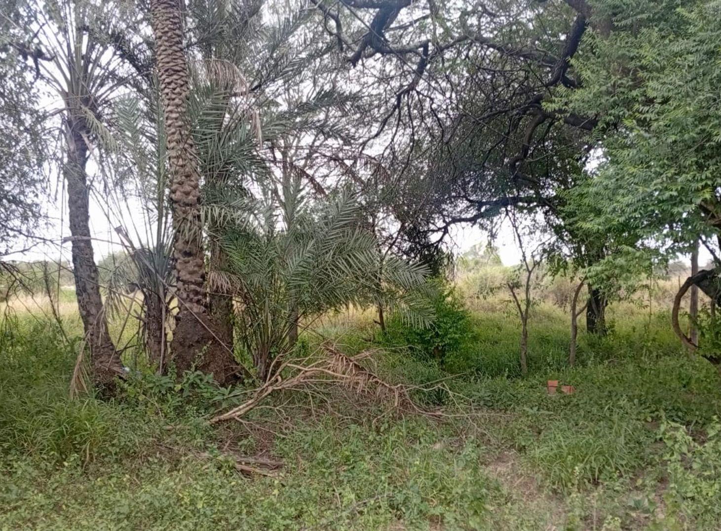 Foto de Venta de Terreno sobre Camino del Medio, imagen 5