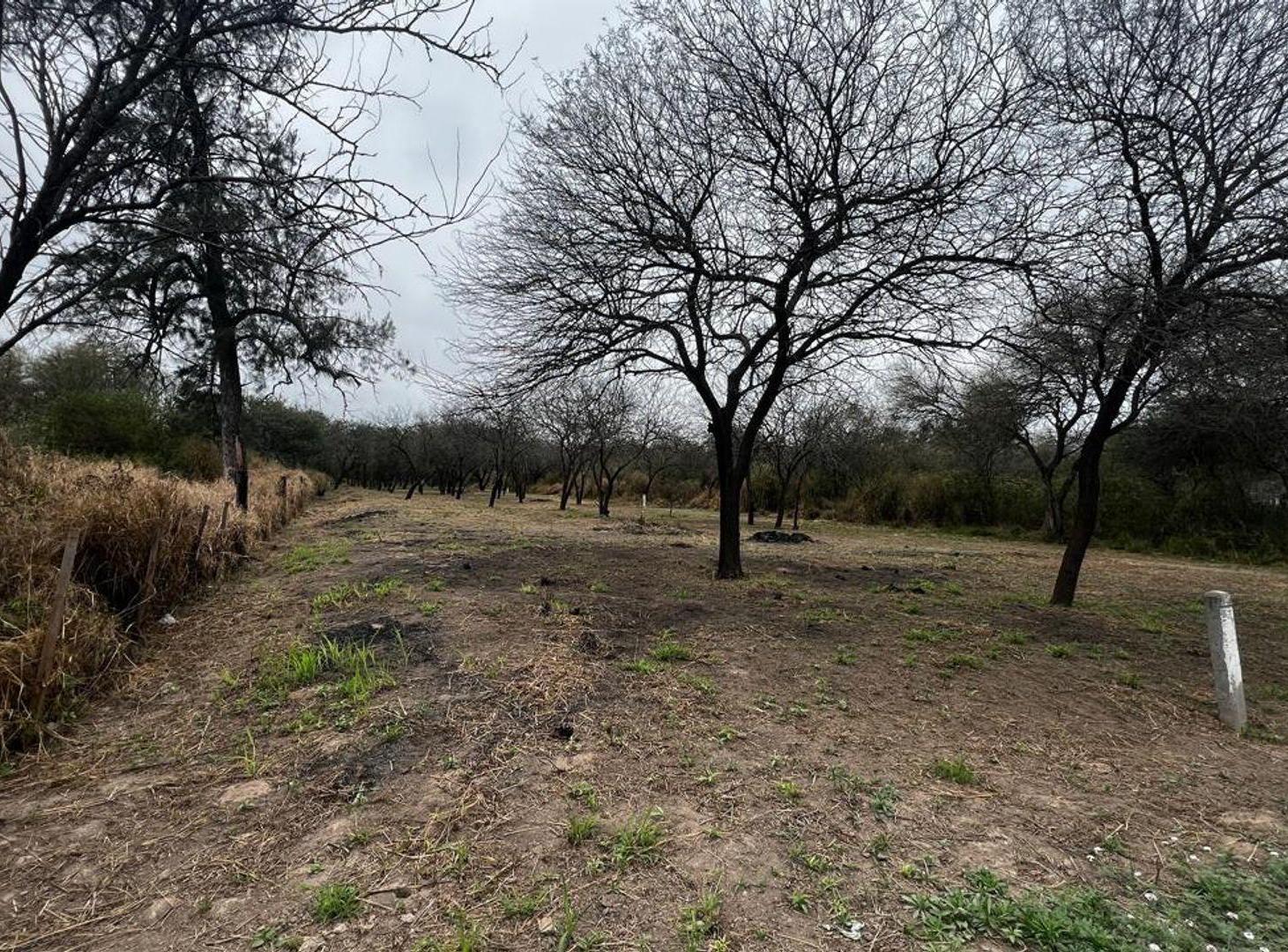 Foto de VENTA LOTE - EL POLEAR - LA BANDA, imagen 2