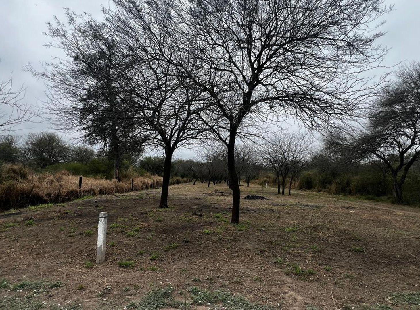 Foto de VENTA LOTE - EL POLEAR - LA BANDA, imagen 3