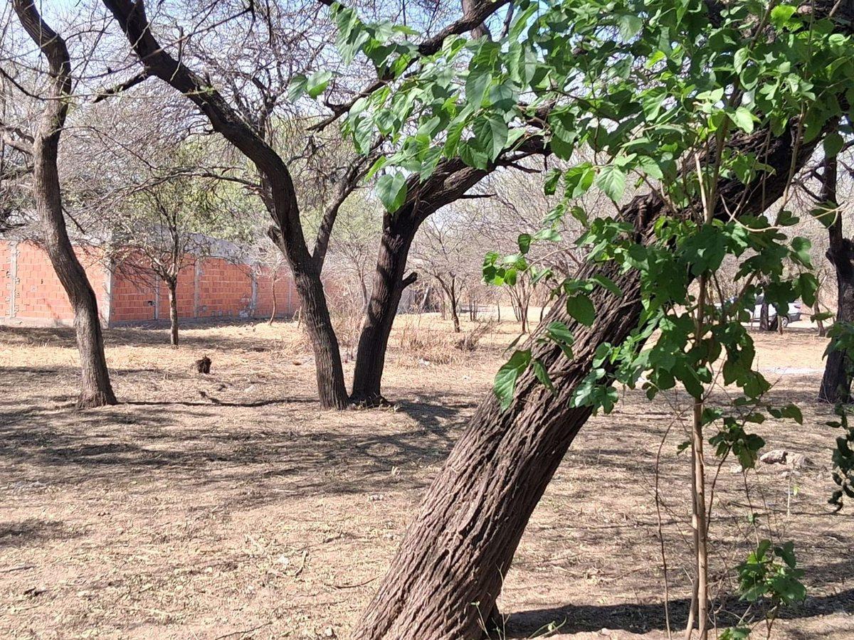 Foto de LOTE EN VENTA- ZONA BARRIO LOS FLORES, imagen 2