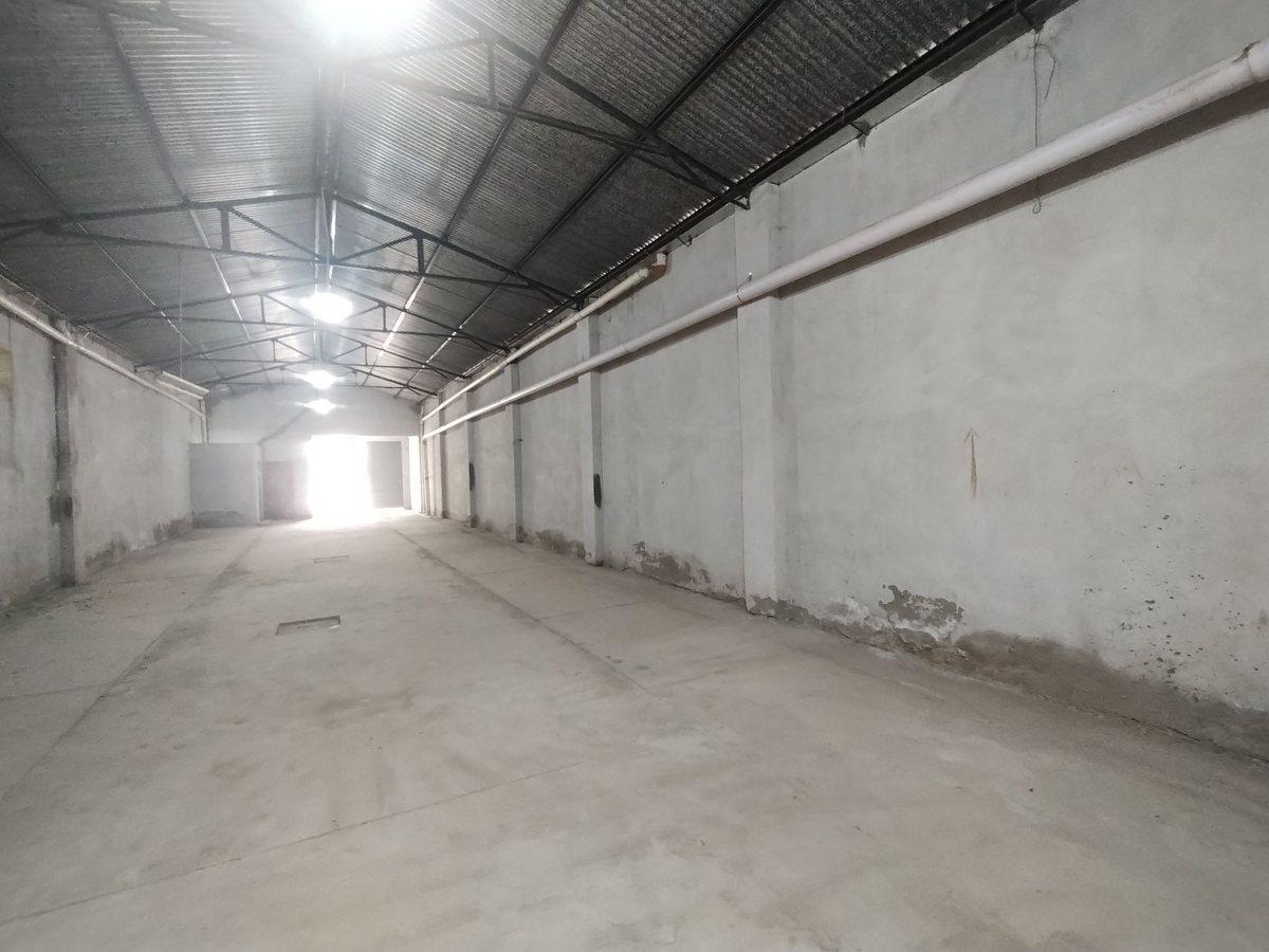 Foto de VENTA GALPON - LA BANDA CALLE ALEM, imagen 3
