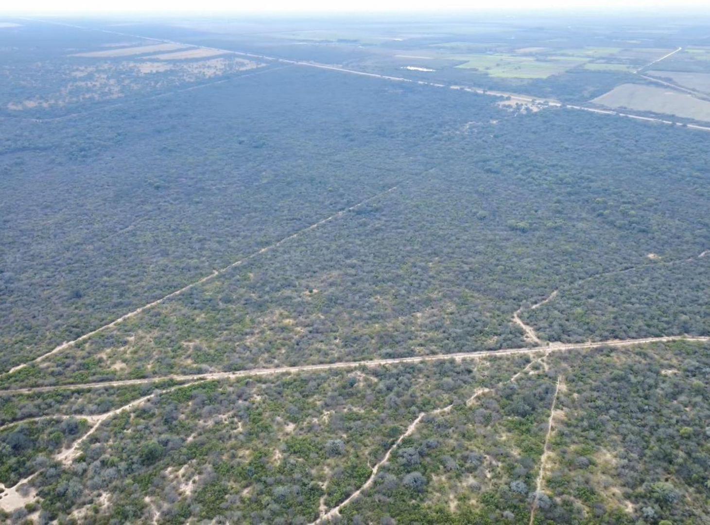 Foto de Campo de 438 ha sobre RN 34. Pje. San Martín L.B, imagen 3