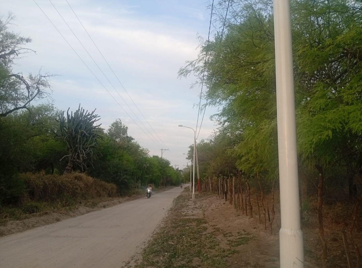 Foto de VENTA DE UNA HECTAREA Y MEDIA EN LA BAJADA, imagen 2