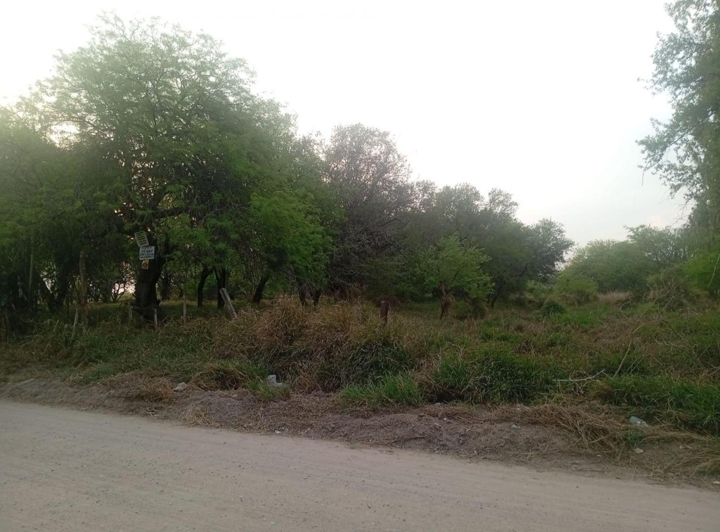 Foto de VENTA DE UNA HECTAREA Y MEDIA EN LA BAJADA, imagen 1