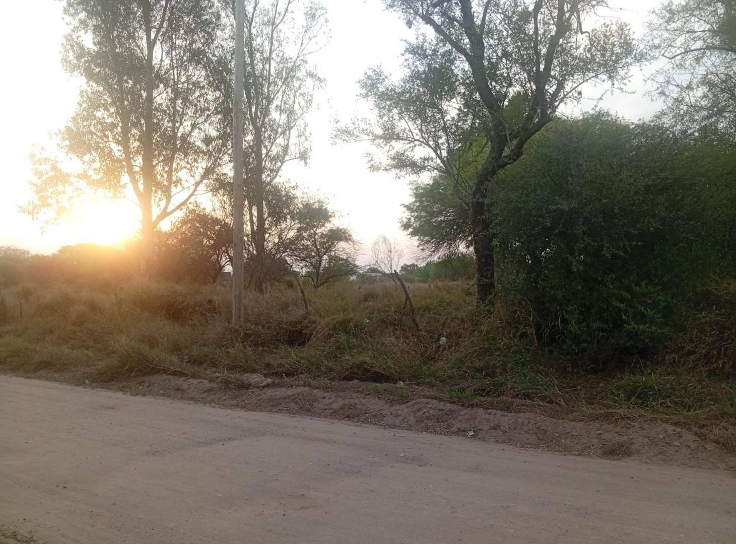 Foto de VENTA DE UNA HECTAREA Y MEDIA EN LA BAJADA, imagen 5
