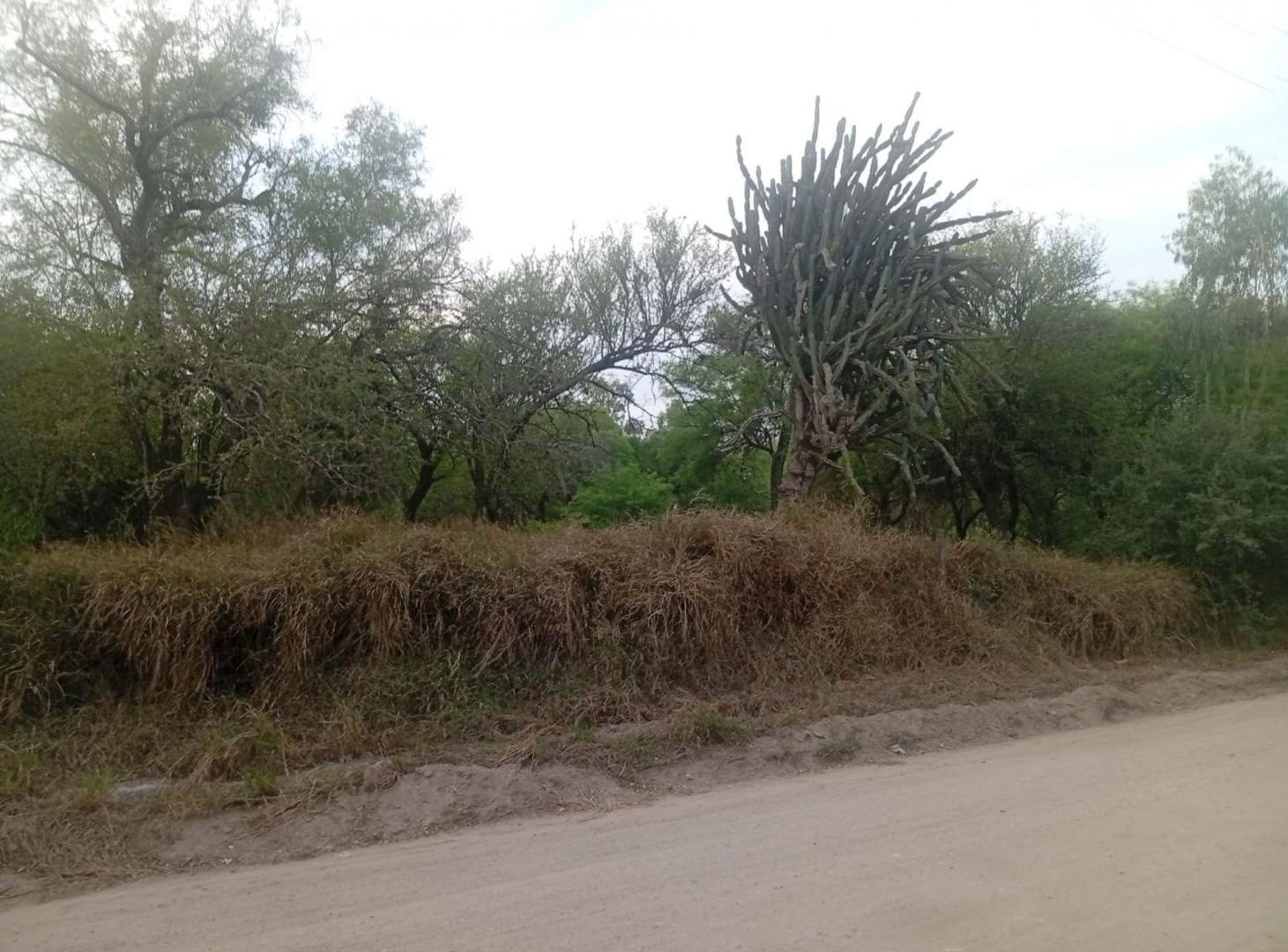 Foto de VENTA DE UNA HECTAREA Y MEDIA EN LA BAJADA, imagen 3