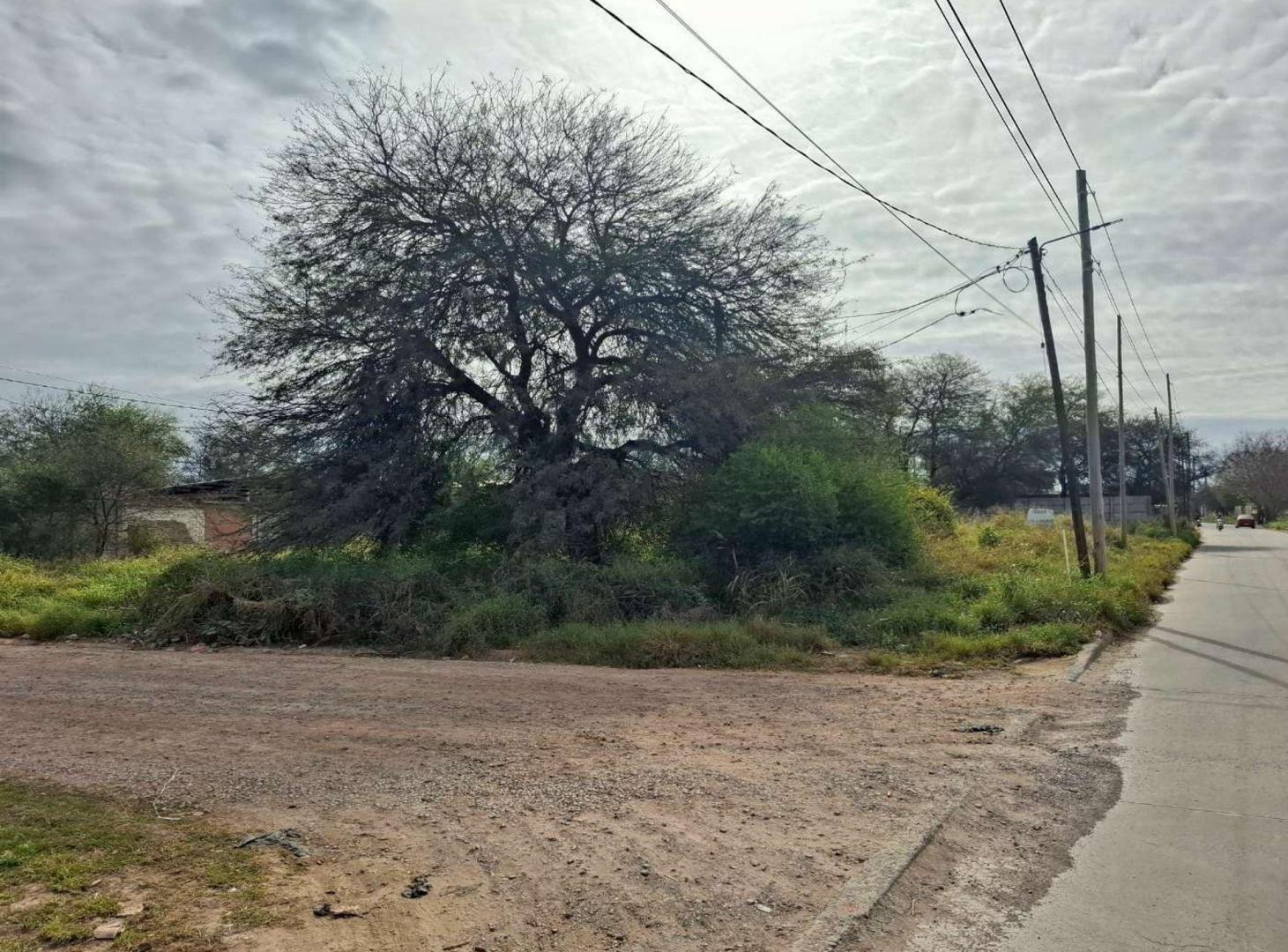 Foto de Venta de terreno, imagen 2