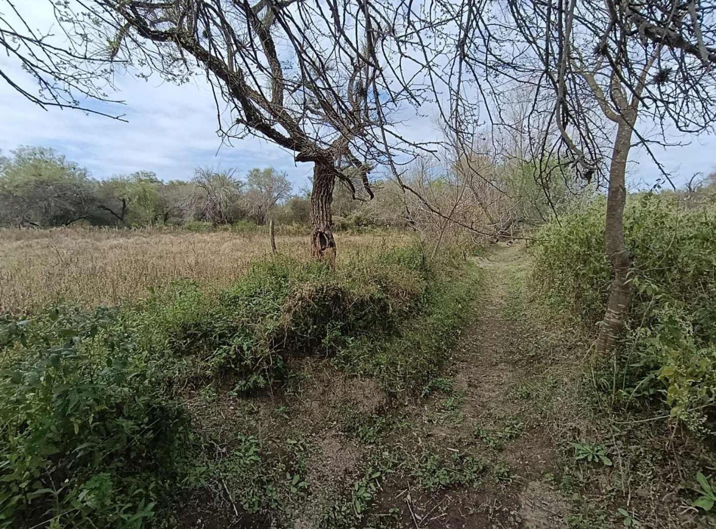 Foto de VENTA TERRENO EN CAMINO DE LA COSTA, imagen 4