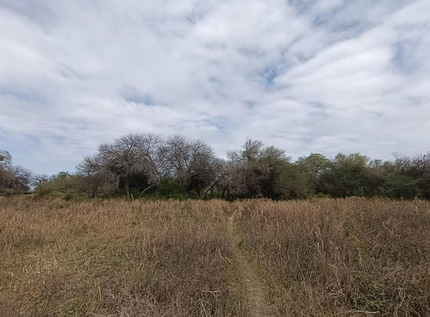 Foto de VENTA TERRENO EN CAMINO DE LA COSTA, imagen 5