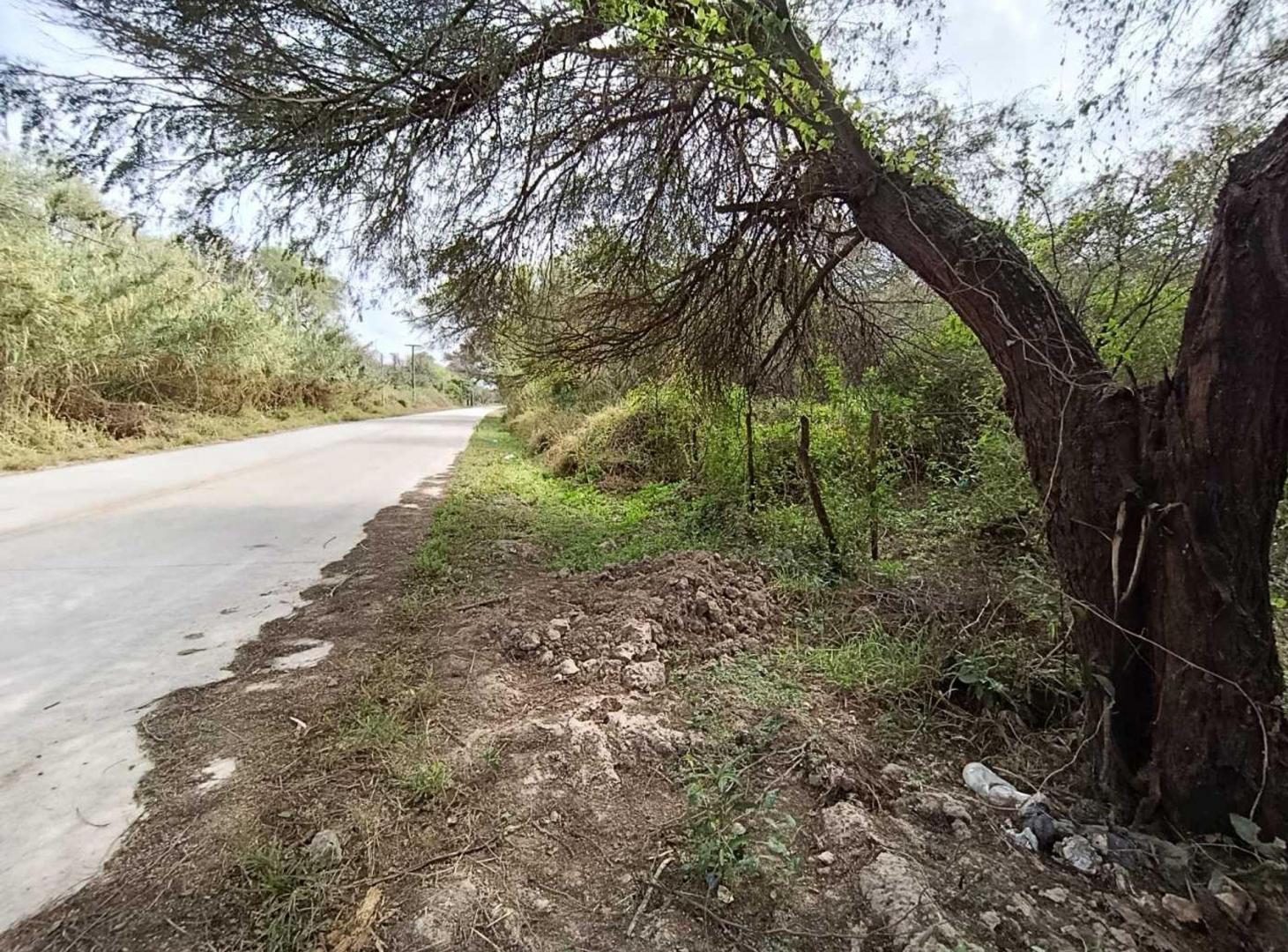 Foto de VENTA TERRENO EN CAMINO DE LA COSTA, imagen 2