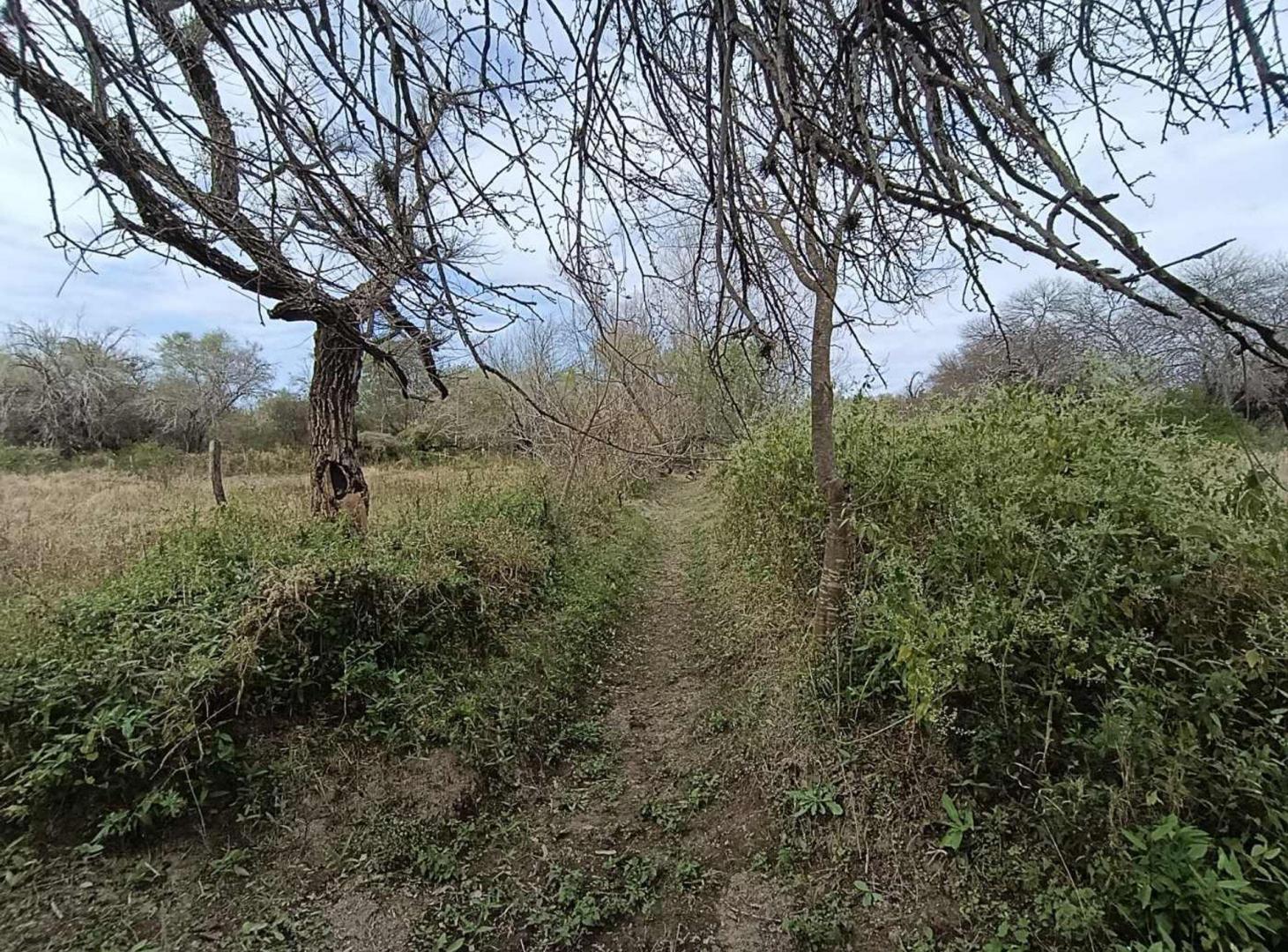 Foto de VENTA TERRENO EN CAMINO DE LA COSTA, imagen 3
