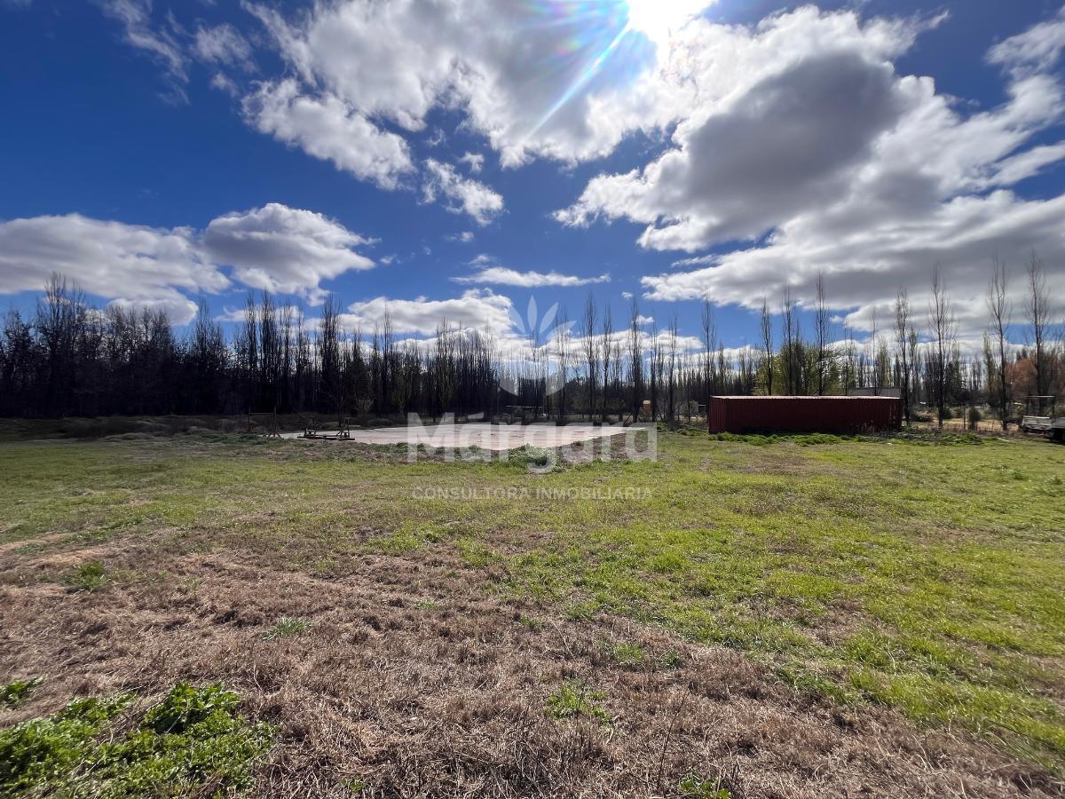 Foto de Terreno en Cinco Saltos, imagen 4