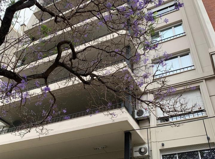 Planta baja única con alma de casa en edificio elegante y seguro sobre Avenida Figueroa Alcorta 3