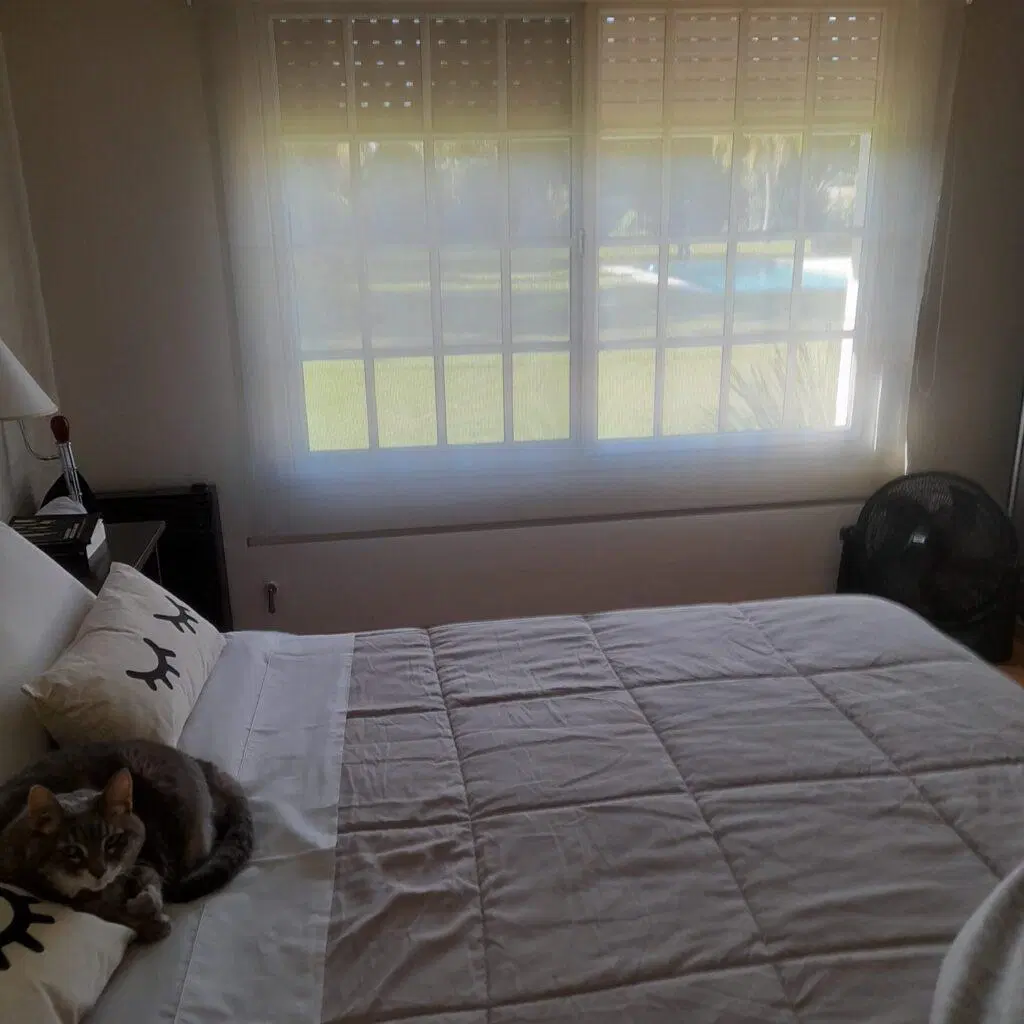 CASA TIPO CHALET 4 AMB BARRIO LA DOLLY, BRANDSEN 5