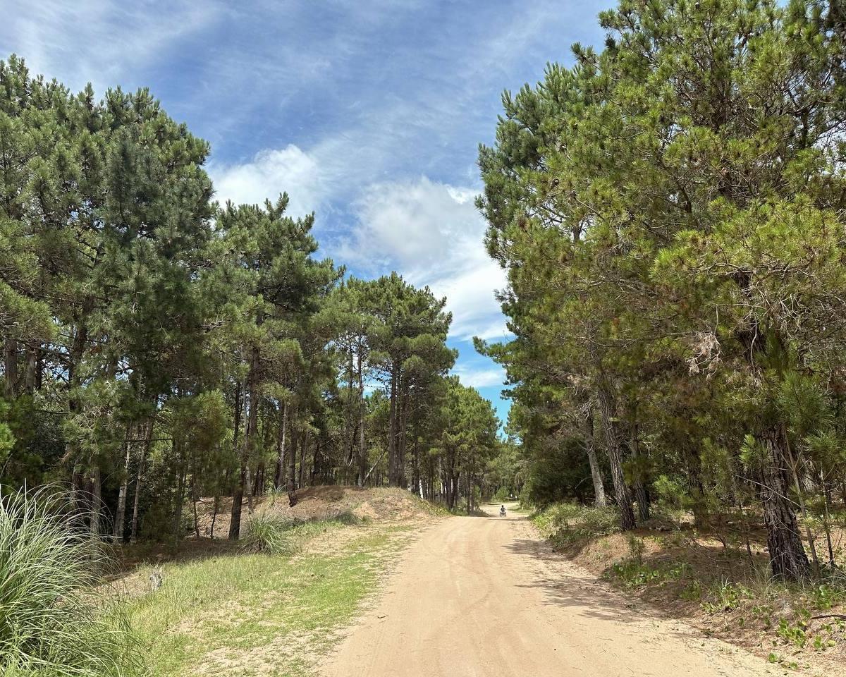 Casa 4 Ambientes - Villa Robles Pinamar 4