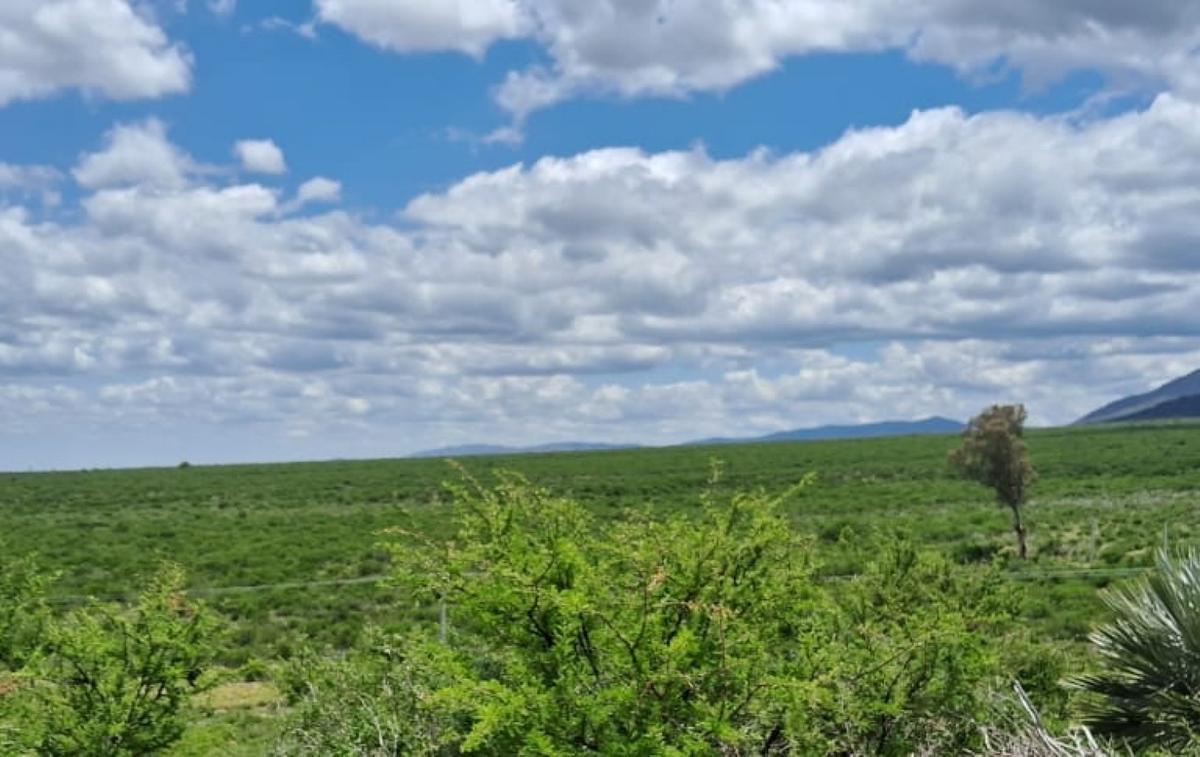 Lote en Jardin Los Cocos, Cordoba 2