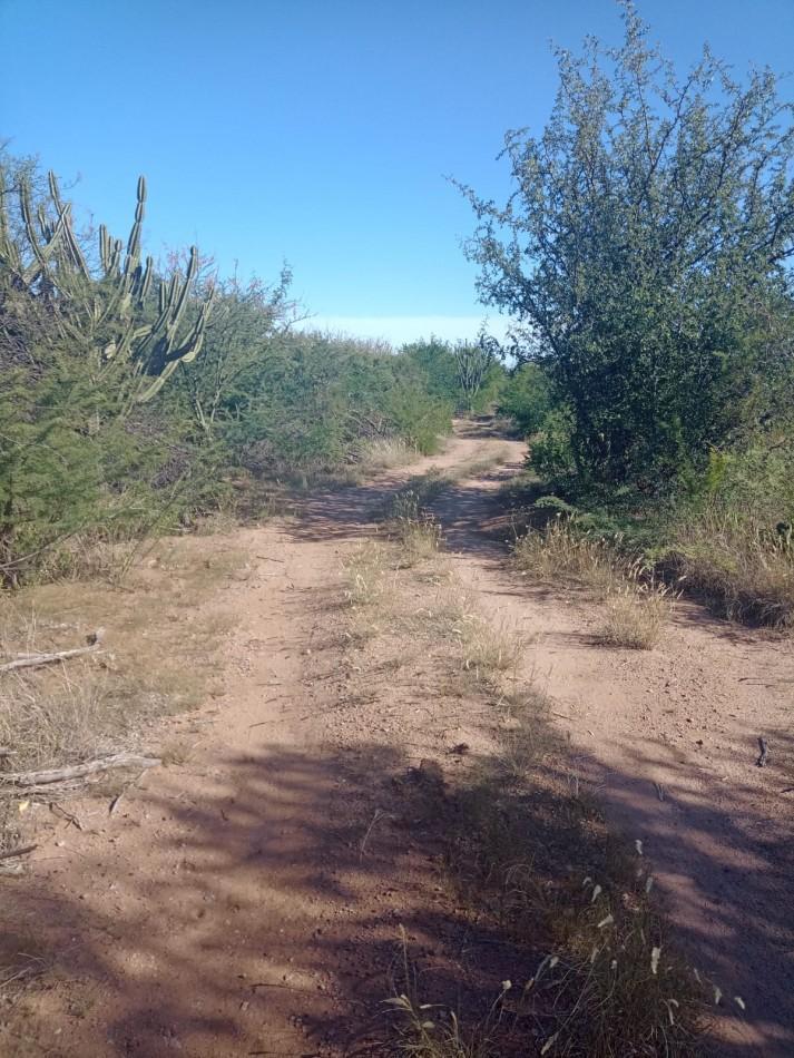 Terreno en Cruz del Eje, Cordoba 1