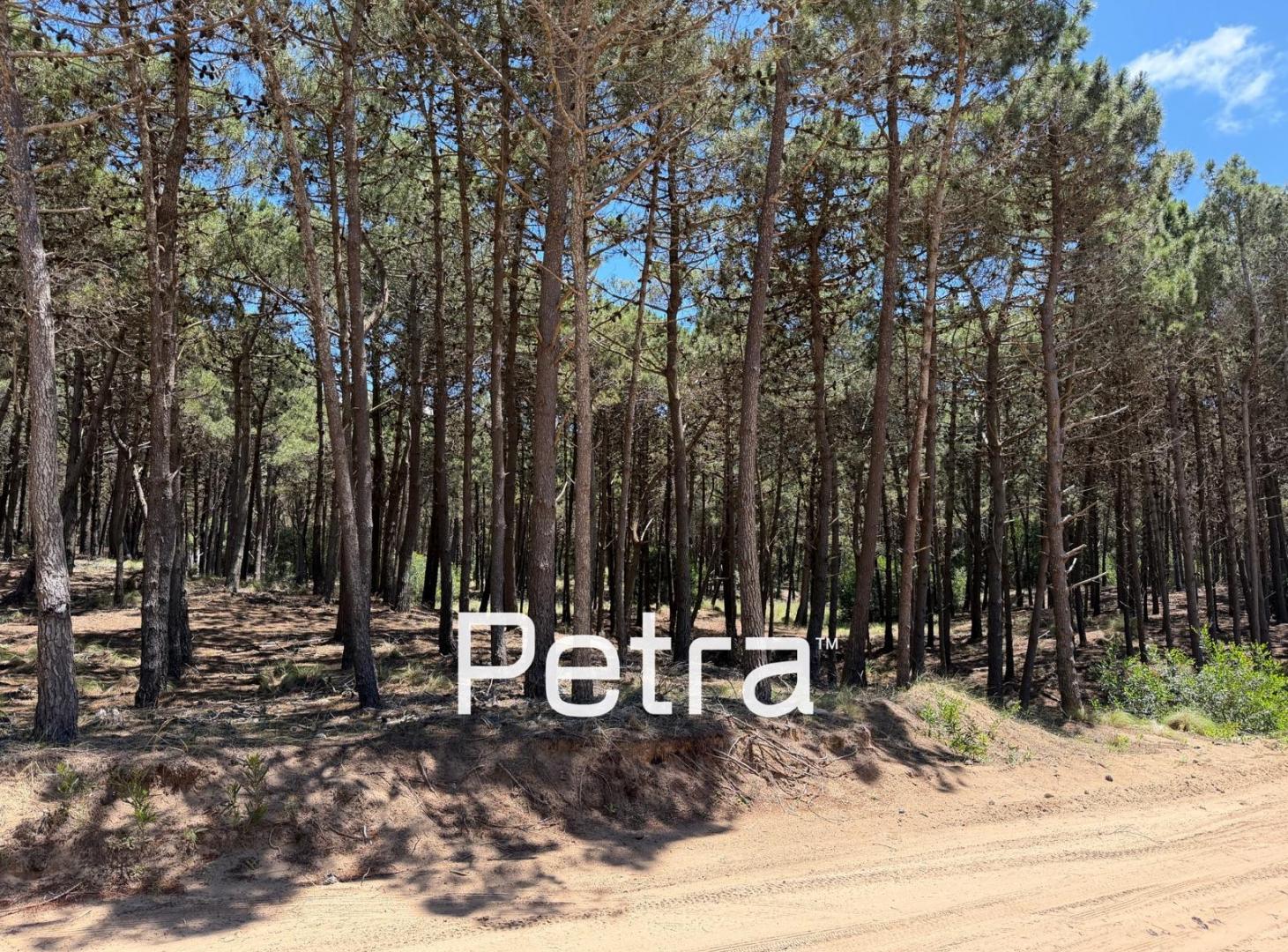 Foto de Terreno en Venta en Villarobles. Albatros lote 49, imagen 1