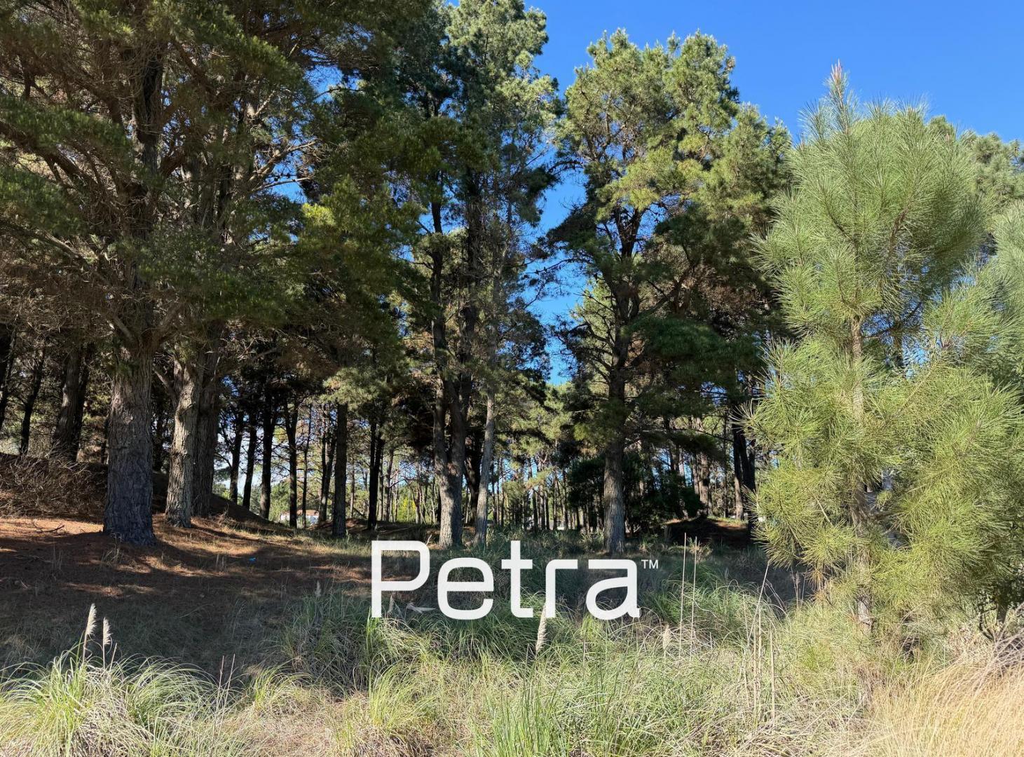 Foto de Terreno en Venta en Costa Esmeralda - Barrio Deportiva, imagen 3