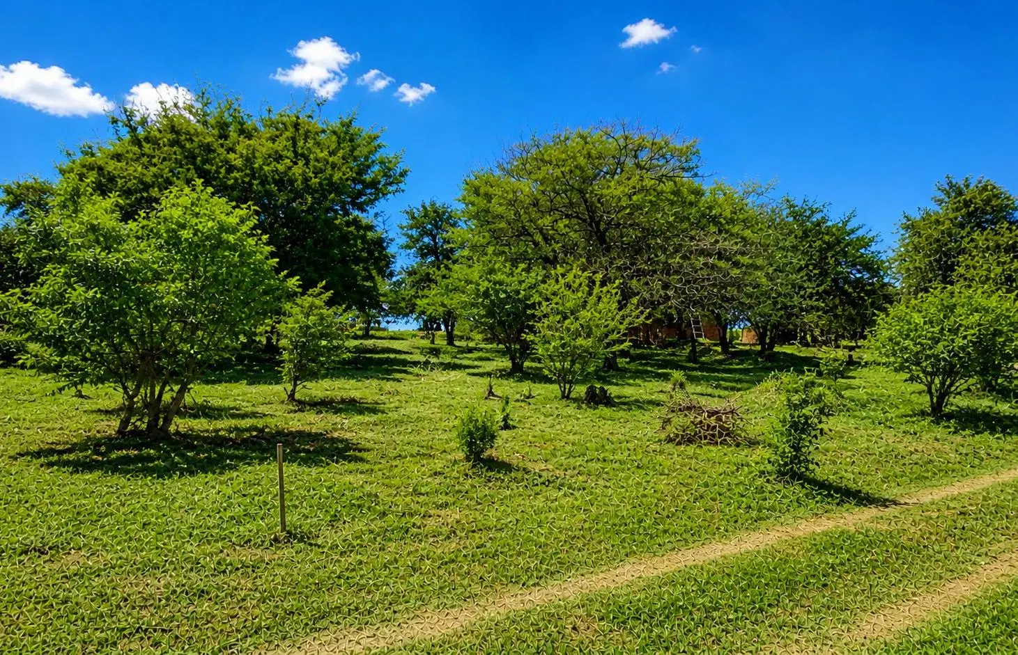 Aires del Nordeste – Ideal vivienda o inversión - GRAN OPORTUNIDAD 5