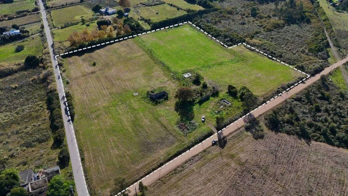 Venta Chacra Toledo 7 hectáreas 4