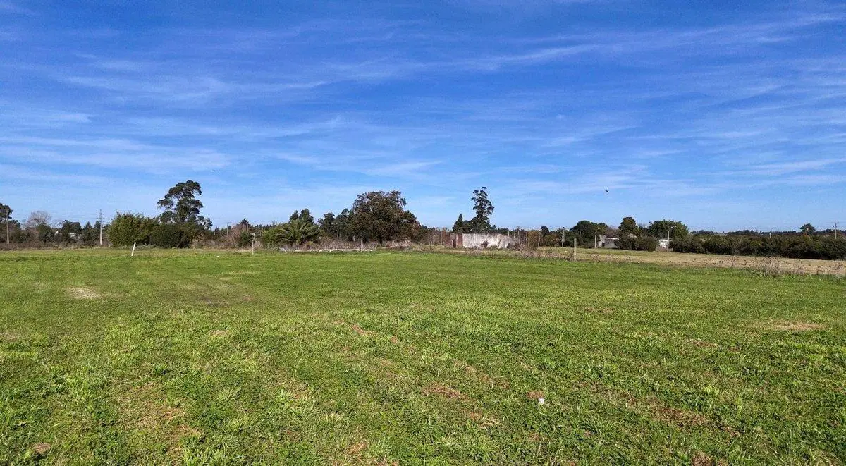 Venta Chacra Toledo 7 hectáreas 3