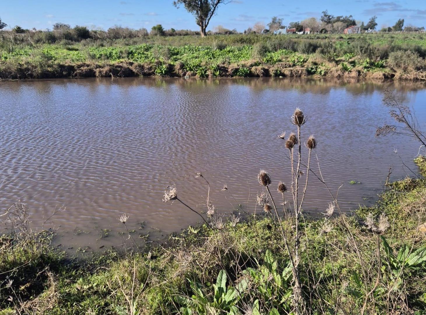 Foto de VENTA CHACRA CON CASA SANTA ROSA CANELONES, imagen 4