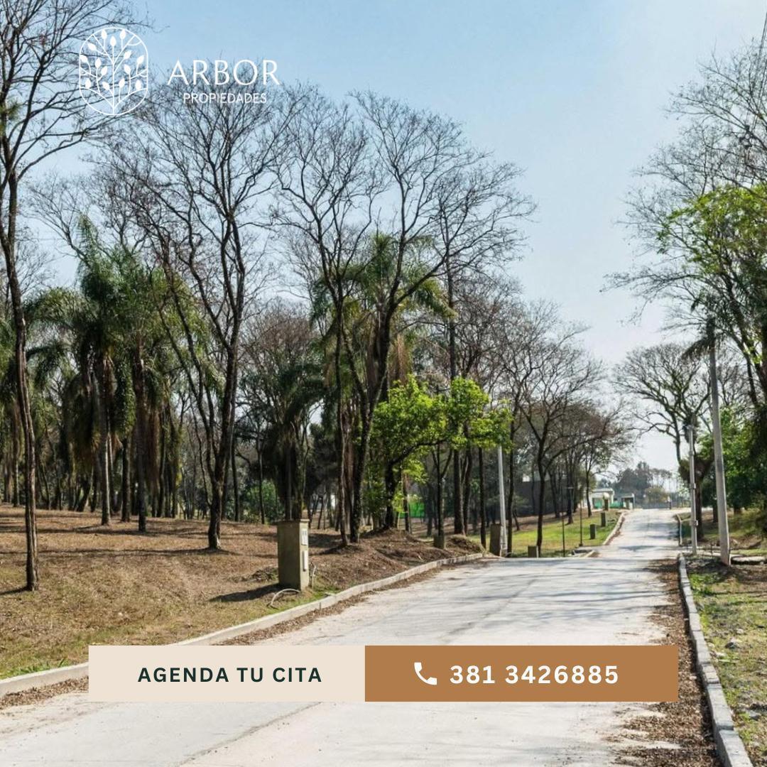 Foto de Terreno en San Pablo, imagen 3