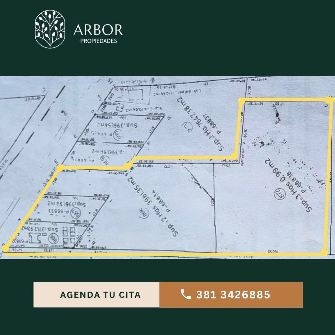 Campo en alquiler con casa