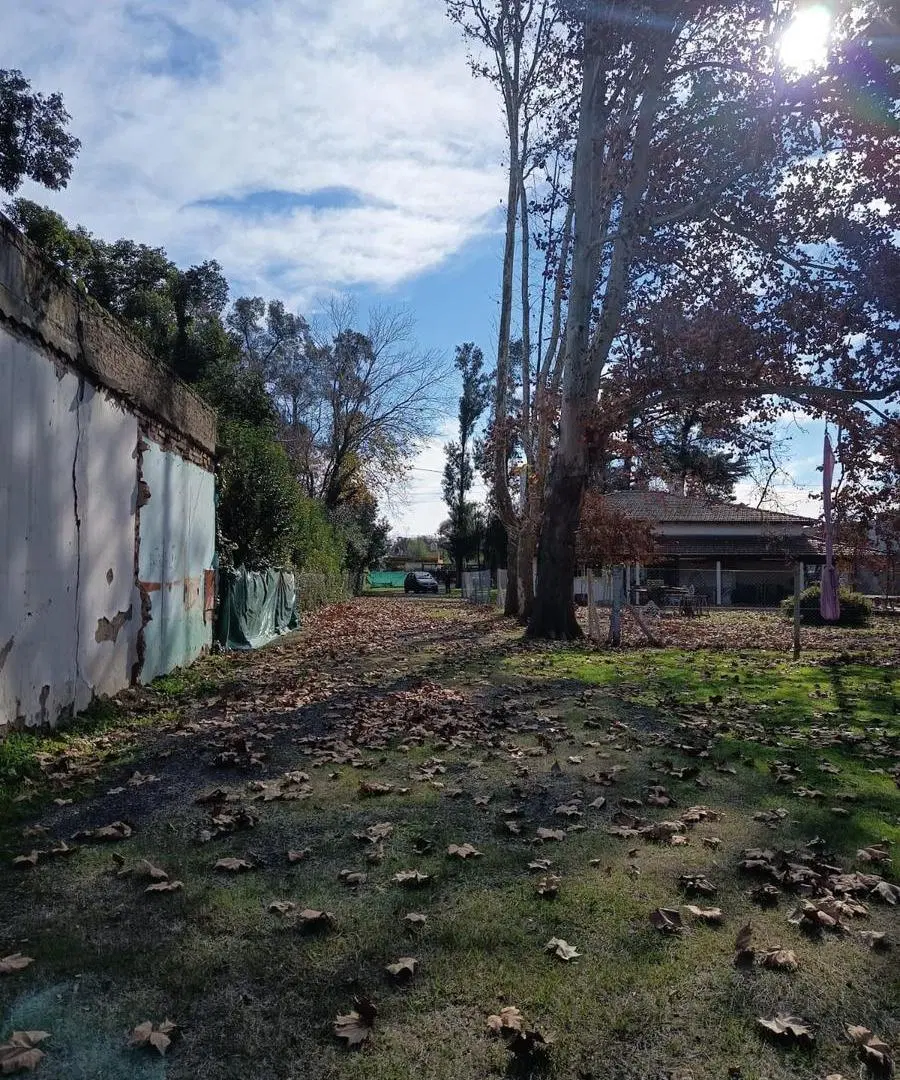 Terreno en Francisco Alvarez 5