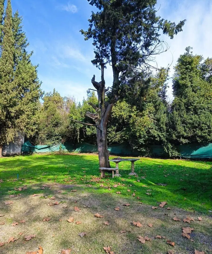 Terreno en Francisco Alvarez 3
